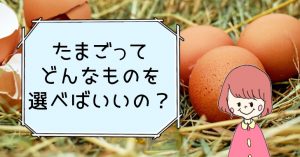 卵のサイズはどの大きさ お菓子作りで重要な卵の選び方のポイントをパティシエが解説 おやつぶ